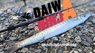 NEW DAIWA NINJA - The spinning rod for everyone! - Sea trial: Barracuda catches