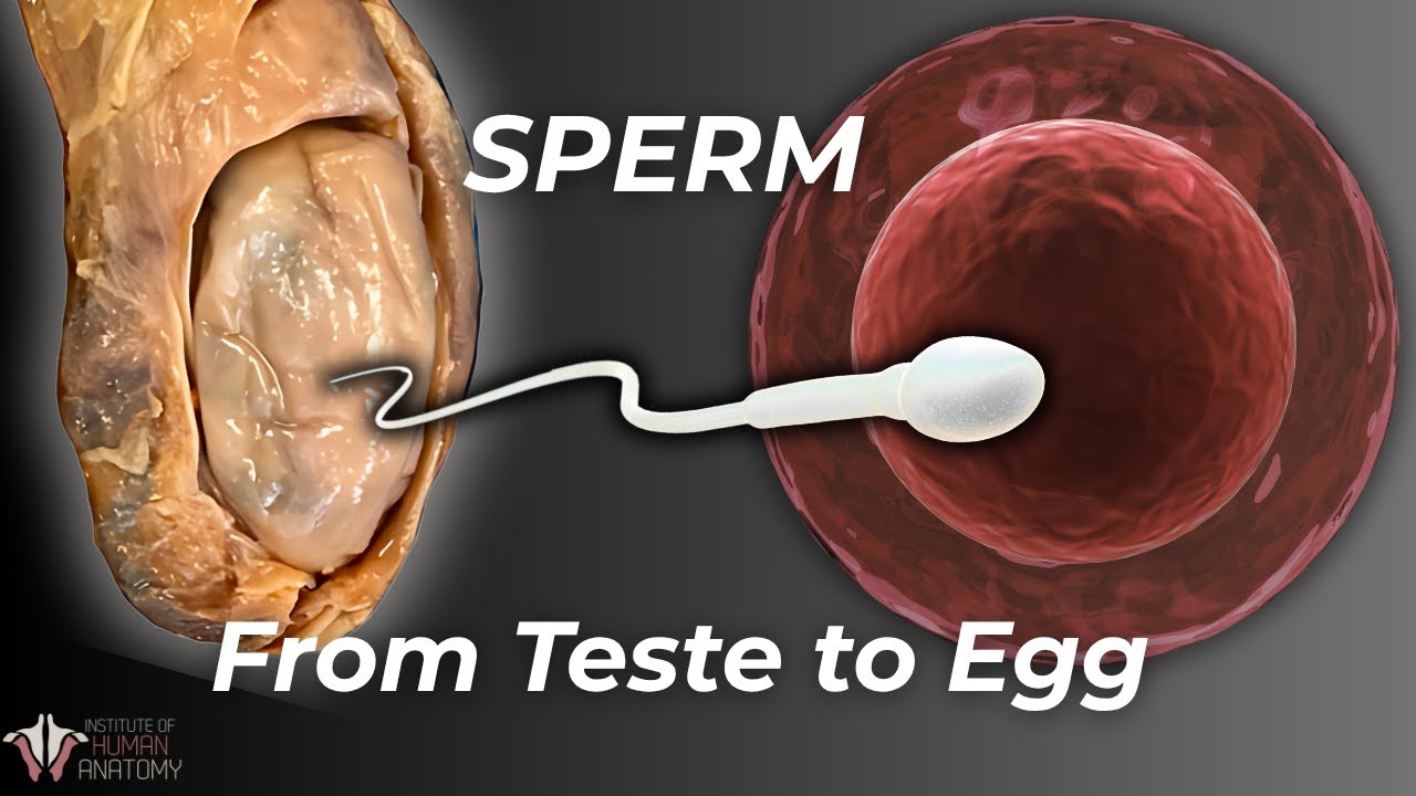 Yapon yosh ayollar porno video