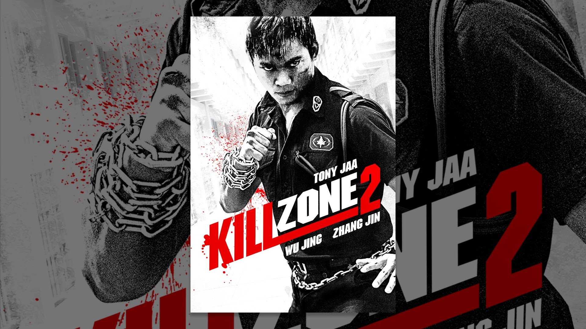 Kill Zone  Movies, Films & Flix