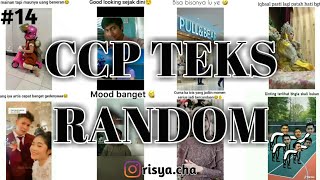 ✨CCP TEKS RANDOM✨ #14