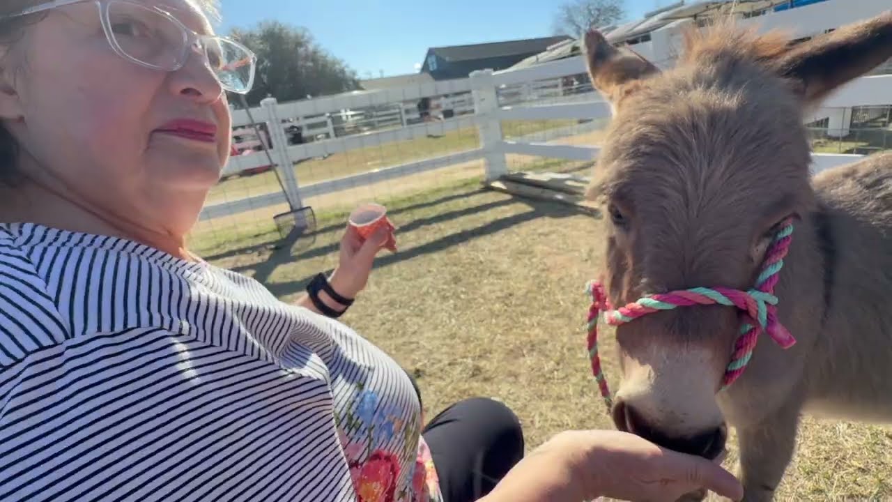 Посещение ранчо «Молоко и мед»