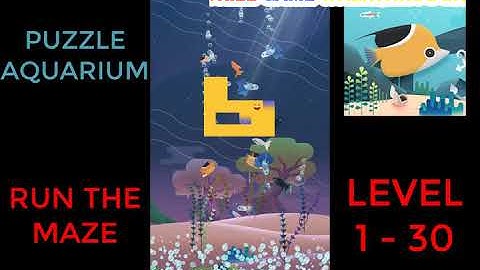Puzzle Aquarium | Run The Maze Level 1 - 30 | Walkthrough