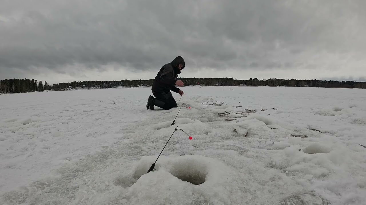 Шок!!! Побив особистий рекорд!!! Супер кльов корюшки в снігопад!!! 22.02.2026