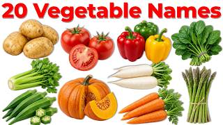 Details 20 Vegetable Names in Hindi and English for Kids | Learn Vegetables Name 🥕🥦 [Kids Learning Video] Update