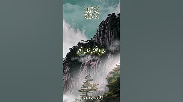 سورة القلم - عبدالباسط عبدالصمد (وَلَا تُطِعْ كُلَّ حَلَّافٍ مَهِينٍ * هَمَّازٍ مَشَّاءٍ بِنَمِيمٍ
