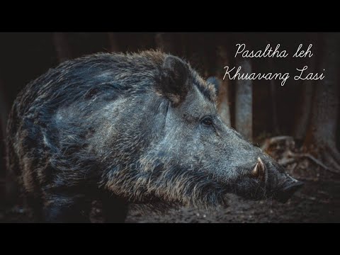 Lasi vanga thihna (Mizo Traditional Story)