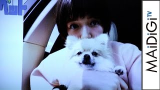 佐藤栞里の愛犬の“日常”を定点で撮影　結果は…　映画「ペット」吹き替えキャスト発表会3