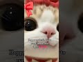 Happy mother's day 💗💗💗#heyyyy #fyp #fypシ゚viral #blackpink #makemefamous #katseye #kpop #lyricvideo