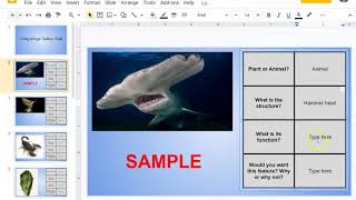 Living Things Digital Gallery Walk How To