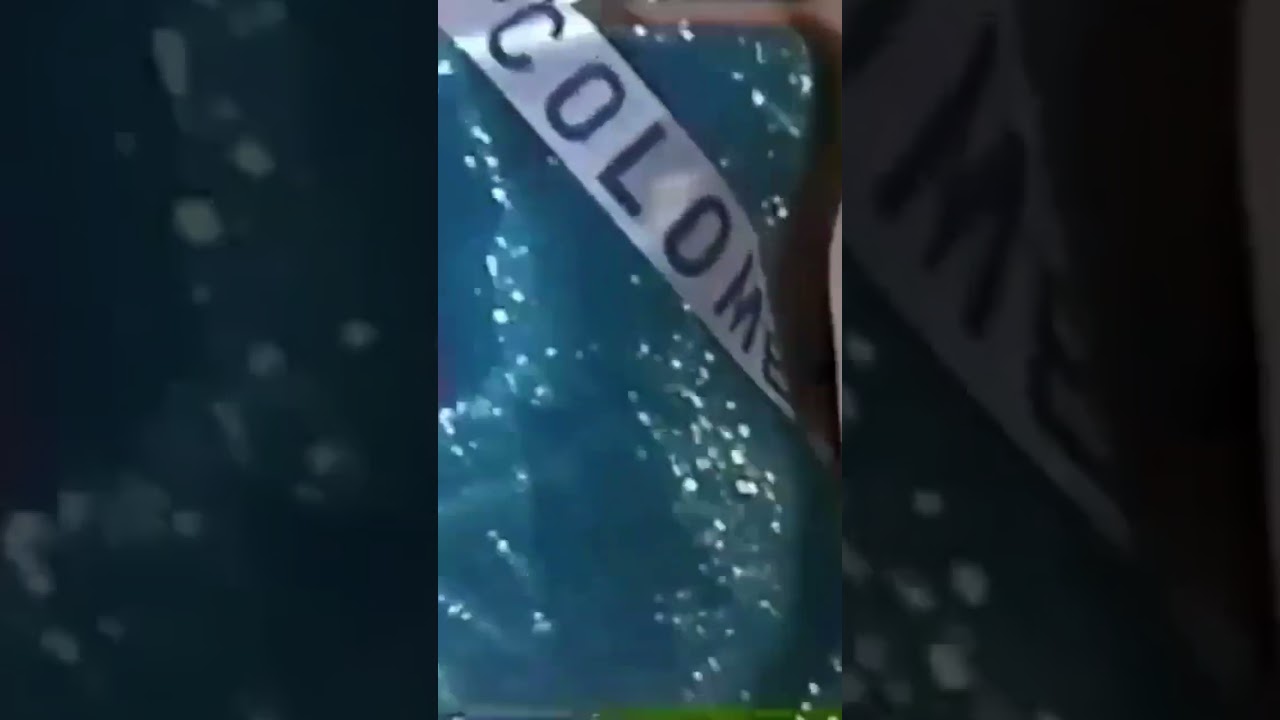 Miss Colombia Internacional - Consuelo Guzmán Parra