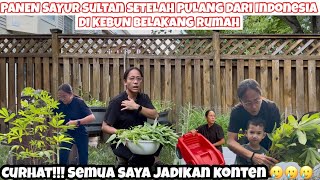 Download Lagu PANEN SAYURAN SETELAH BALIK DARI INDONESIA DI KEBUN BELAKANG RUMAH SAMBIL CURHAT BERBAGAI TOPIK  MP3