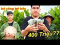 Cuối Năm Rút 400 Triệu Tiền Youtube Tặng Trẻ Trâu  Và Thưởng Tết Cho Team Ăn Tết | TQ97