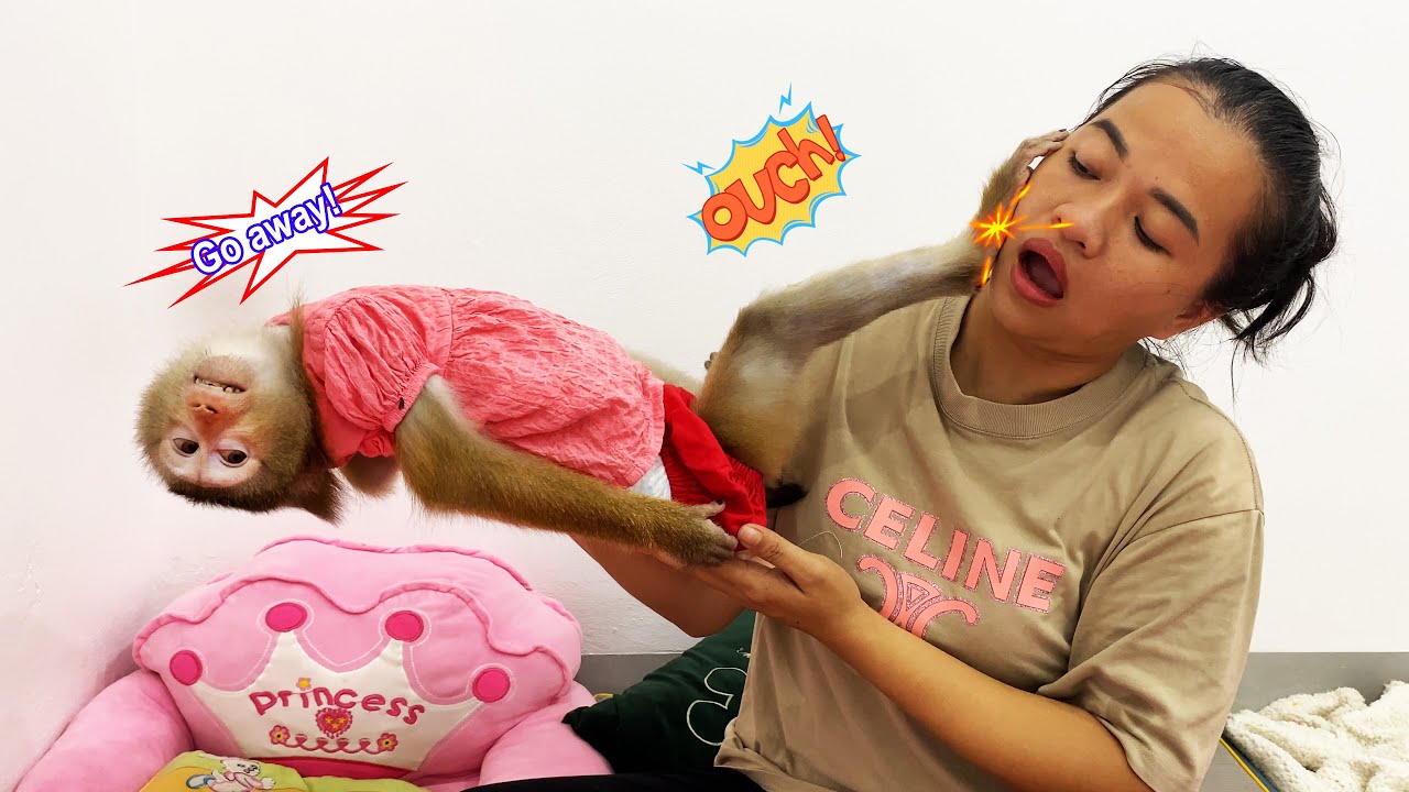 Monkey Lyly was UPSET with her mother for not taking her out with her.