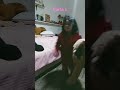 project playtime parte 5