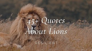 45+ Lion Quotes | Inspirational Quotes About Lions
