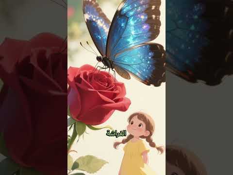 ق ص ة الط ف ل ة و الف راش ة