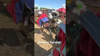 100% power! This is Buhurt! #kcd2 #armour #buhurt #history #horse #medieval #vikings #hmb