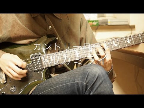 ハルカミライ  カントリーロード  弾いてみた
