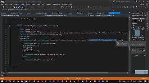 SQL Injection C#, SQL Server