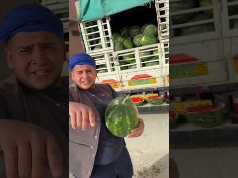 الباندا اليوم غير حامو على رواحكم