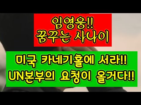 (이광필TV)임영웅!!미국카네기홀에서라!!UN본부에서 요청이 올거다!!