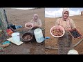 انطلاق جني الزيتون يومي في الباديه شاركت معكم طريقتي ترقاد الزيتون غير اجي وكوني بنت الباديه