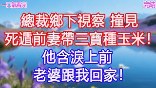 Download Lagu 總裁鄉下視察，撞見死遁前妻帶三寶種玉米！他含淚上前：老婆跟我回家！#甜寵文 #愛情 #爽文 #故事分享 MP3