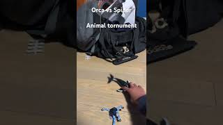 Starting Rounds Orca vs Spider