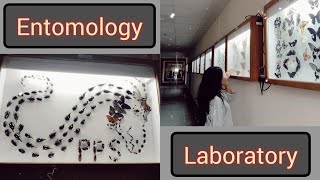 Entomology Lab Tour 😶‍🌫🪸🐛🦋🐞🐝