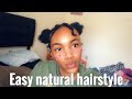 EASY NATURAL HAIRSTYLE