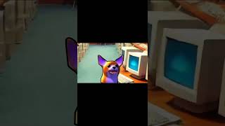 Papas Gatito 15