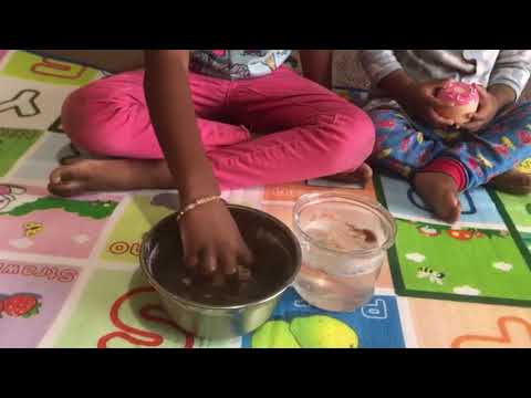 Egg shell science experiment