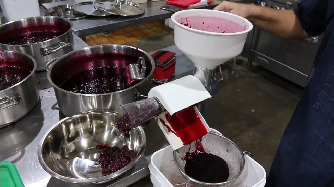 Boysen Berry Farm Making Boysenberry Syrup Shorts Boysenberries Pies syrup jam jelly kid