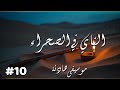 موسيقى تأملية: ناي عربي وصحراء واسعة