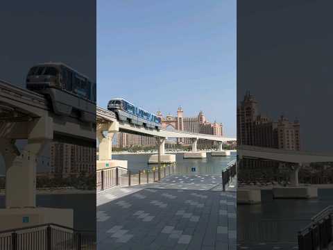 Dubai City 2024 - Dubai city view UAE #dubai #dubaicity #uae