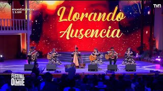 Llorando Ausencia [Maihuen De Los Ángeles]  FESTIVAL DEL HUASO DE OLMUÉ (edit) 2024