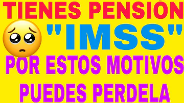 ¿Cuándo se puede perder una pensión?