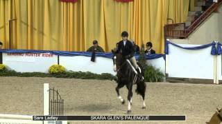 753 SKARA GLEN'S PALENQUE Sara Ladley, Class 153 Amateur Owner Hunter 3'3 18 35