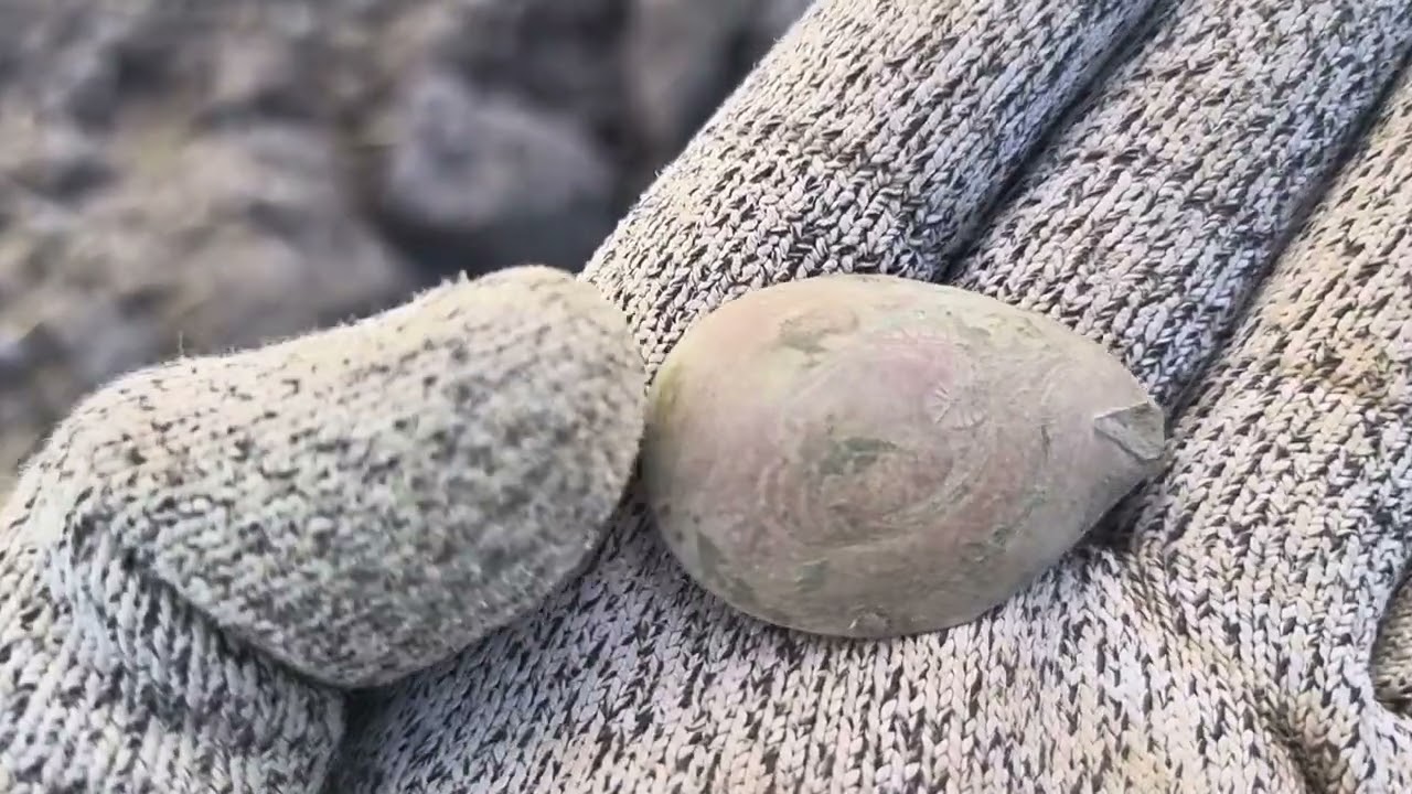 1608 / Немного летнего копа / Поиск монет и кладов с XP Deus 2