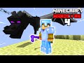 I killed the dragon with ONLY a netherite hoe in Hardcore Minecraft... (#4)