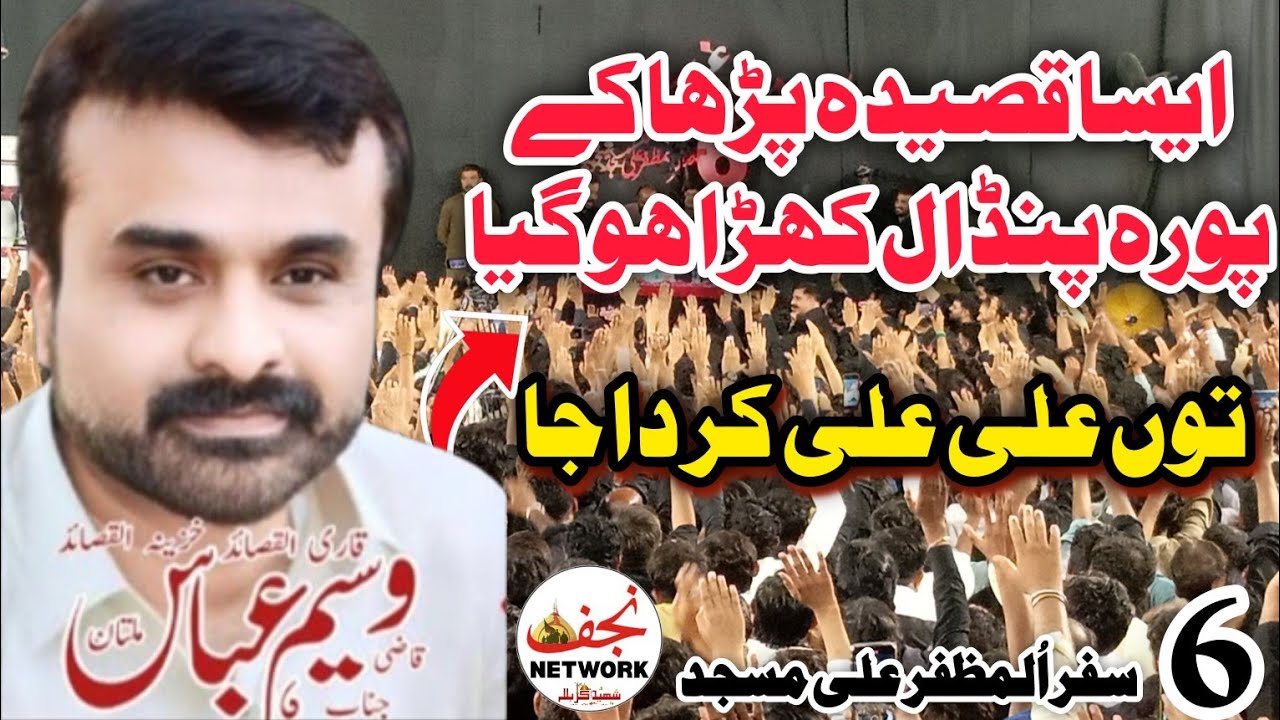 Zakir Qazi Waseem Safdar || New Qasida Tun Ali Ali Kar Da Ja 🙌🏻 | 6 Safar Jalsa Ali imran jafri 2025