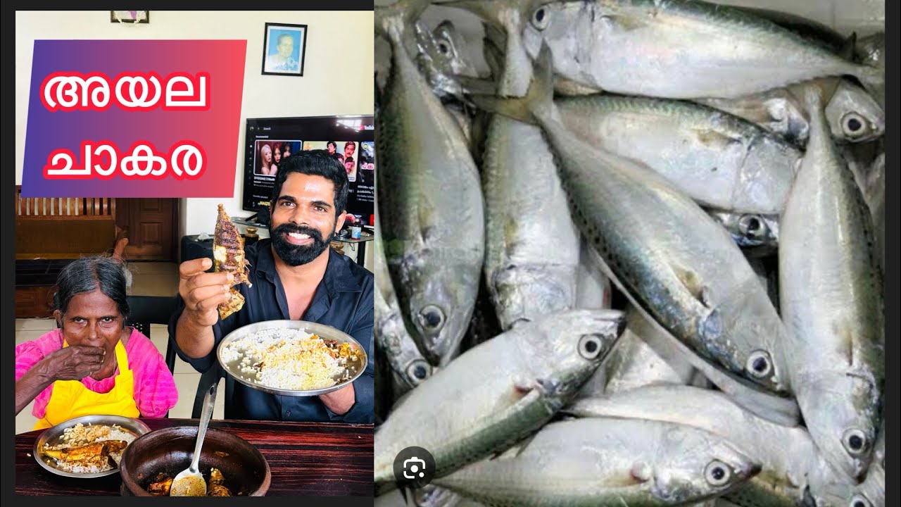 പുതുമഴയിൽ കിട്ടിയ അയല.. അമ്മച്ചിക്ക് ഇഷ്ടായി..♥️👍