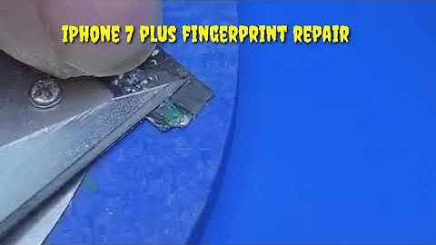 iPhone 7 plus fingerprint not working solution