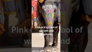 why PINK? #kidslearning #funforkids #kidsentertainment #educationalreels #youtubekids #studywithfun