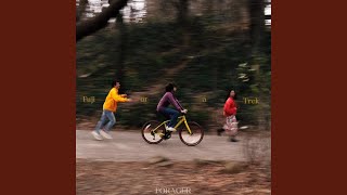 Fuji or a Trek
