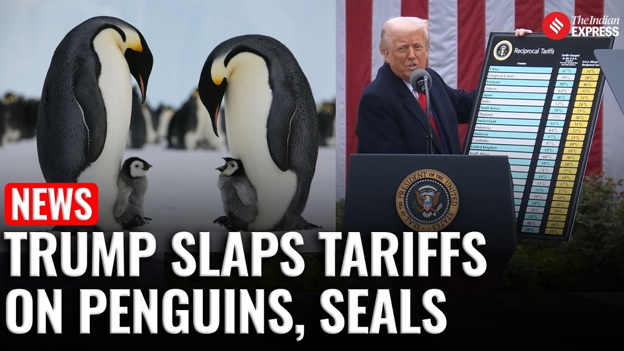 Donald Trump Slaps Tariffs on Island Where Only Penguins and Seals Live