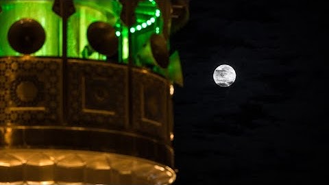 كلام المولى أمير المؤمنين-القارئ حسين الحكيم-8رمضان-1442هـ