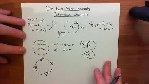 The Two Pore Domain Potassium Channels Part 1