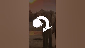 Minimal modern logo design process #logo #logodesign #art #shorts #logos