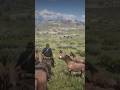 Epic Moments in Red Dead Redemption 2! #RDR2 #RedDeadRedemption2 #GamingShorts #EpicMoments